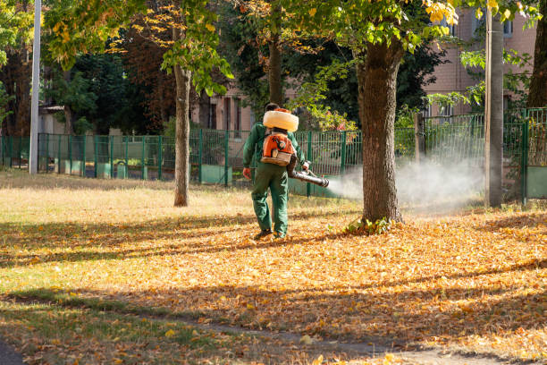 Best Rodent Control Near Me  in Live Oak, CA