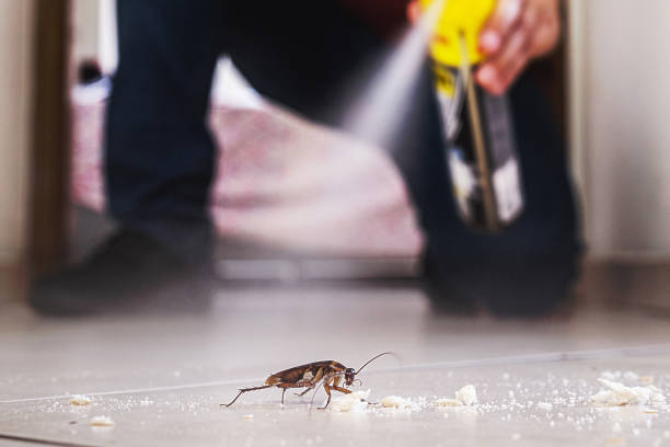 Pest Control Cost in Live Oak, CA