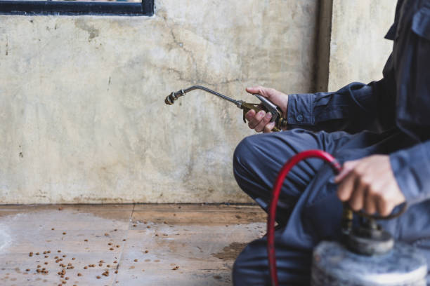Best Best Pest Control Companies  in Live Oak, CA